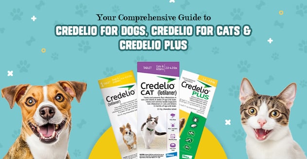 BudgetVetCare-Blog-Credelio-Products