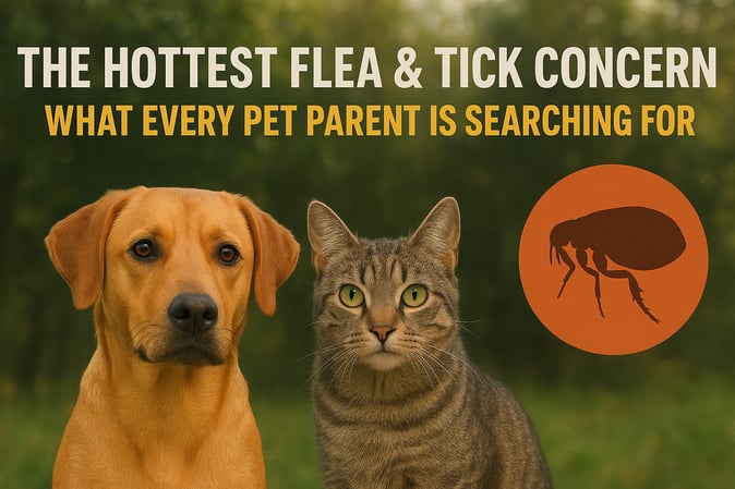 ChatGPT Image Dec 4, 2025, 12_03_37 PM