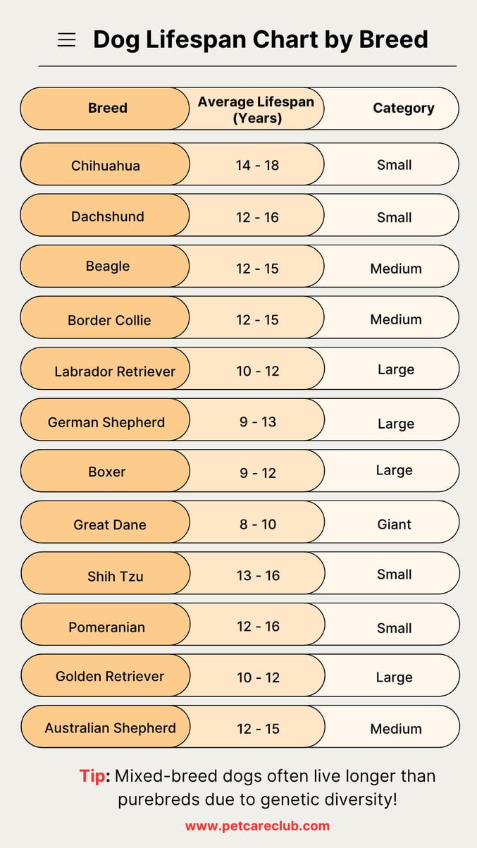Dog Lifespan Chart by Breed