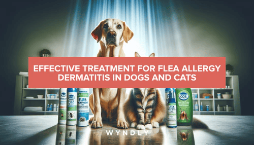 Flea Allergy Dermatitis in Pets