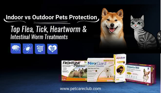 Indoor vs Outdoor Pet Protection