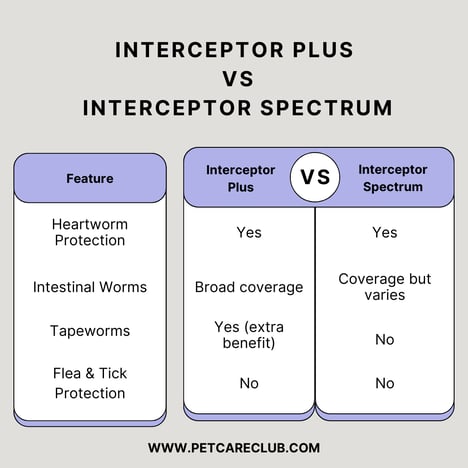 Interceptor Plus vs Interceptor Spectrum