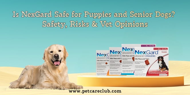 Is NexGard Safe for Puppies and Senior Dogs