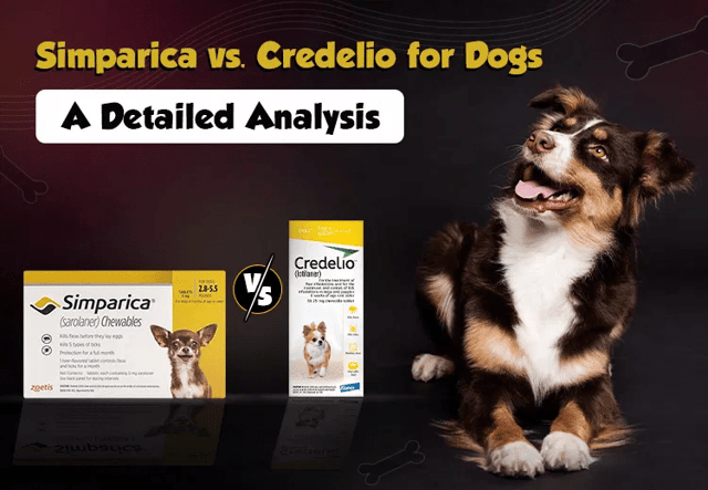 PCC-Blog-Simparica-Vs-Credelio-for-Dogs-June25 (1)_06042025_050334