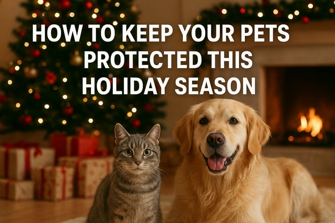 Protect Your Pets on this Holiday Season