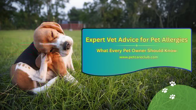 Wxperts Vet Advice for Pet Allergies